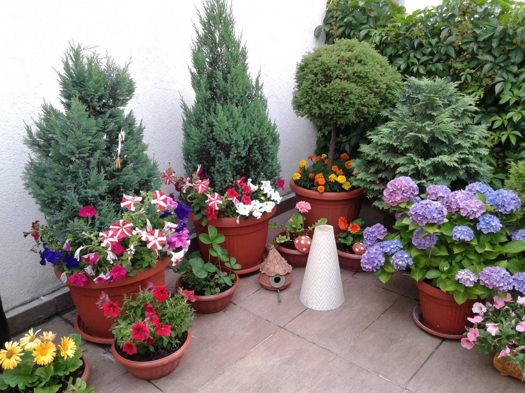 Apartments Skadarlija Belgrad Dış mekan fotoğraf